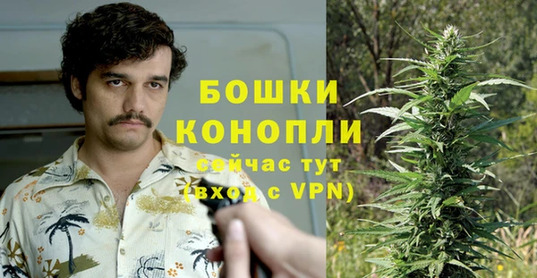 эйфоретик Иннополис
