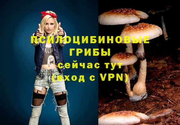 соль курить ск Инта